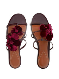 Thumbnail for Zimmermann Orchid Leather Flat Sandals