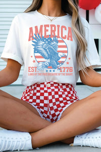 Thumbnail for White Vintage AMERICA Eagle Printed Freedom Spirit Patriotic Tee