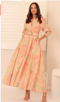 Thumbnail for Xander Maxi Dress -Blush Paisley
